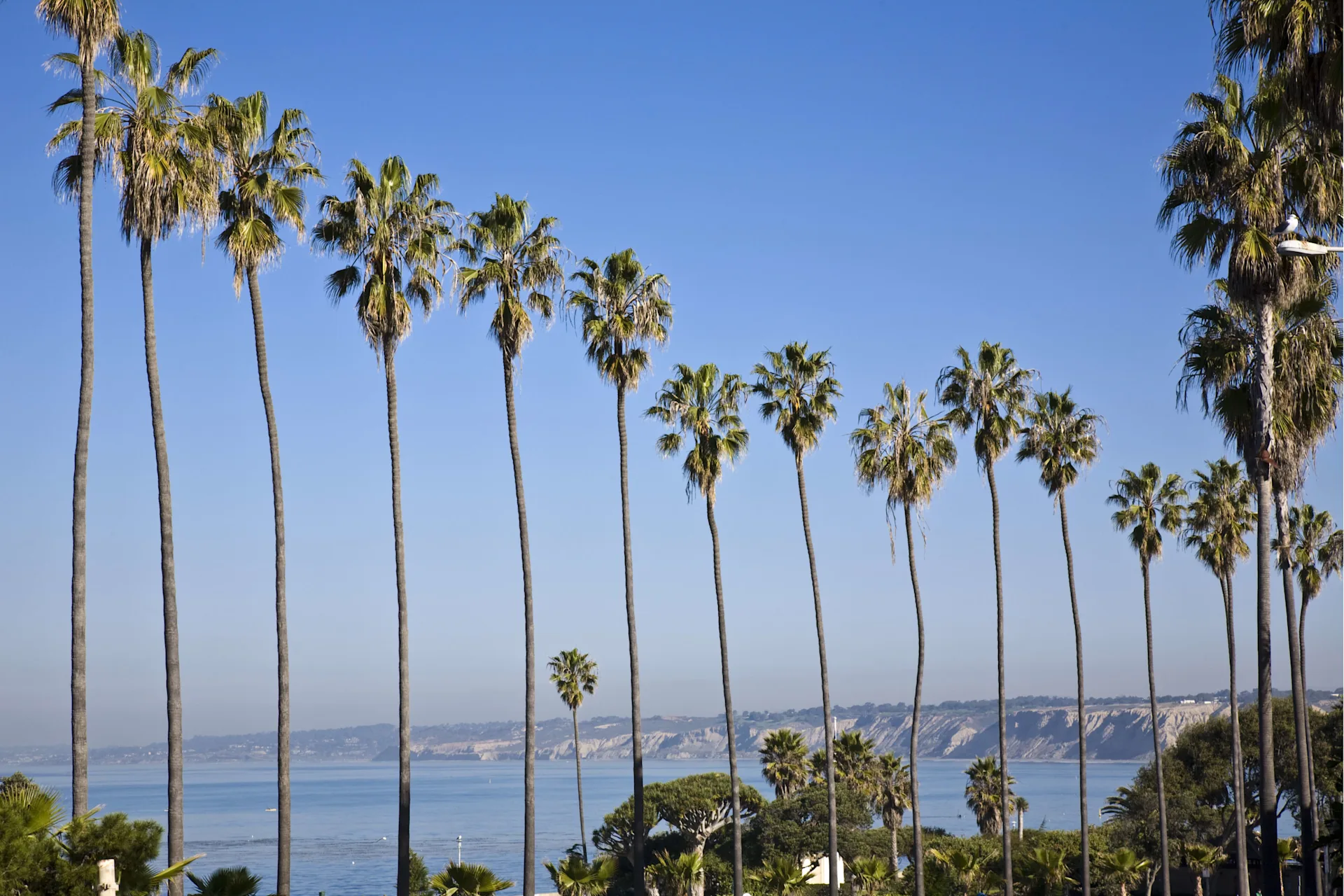 La Jolla coastal hillside at golden hour